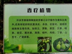 -华南国家植物园-售票处