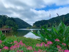 -广州市石门国家森林公园