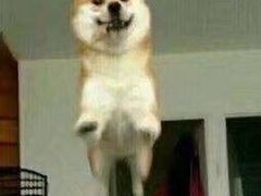 -阿木舂记·特色小吃(平江路店)