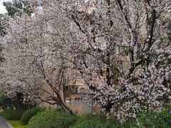 -上海市虹口区图书馆(曲阳分馆)