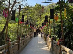 -西双版纳原始森林公园