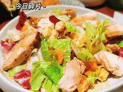 芥末烤鸡沙拉-山杏yama-katsu·吉列炸物