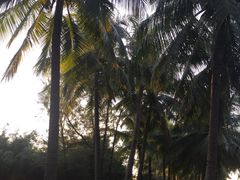 -马大胡子清真西北菜