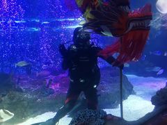 -沈阳海洋探索中心