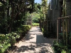-绳金塔