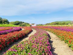 -济州森林小火车生态公园