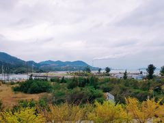 -惠州金海湾嘉华度假酒店