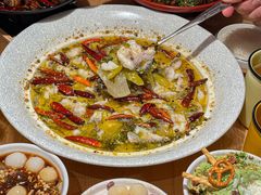 -太二酸菜鱼(石家庄万象城店)