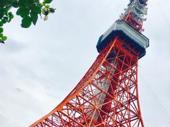 -东京塔海贼王主题公园