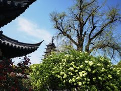-常熟方塔园