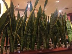-COSTA COFFEE(房山印象城店)