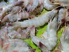 -集杰尚品海鲜烤肉自助餐厅(乳山振华店)