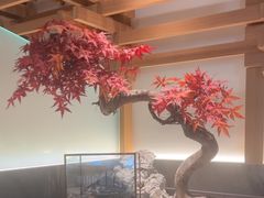 -阿吾罗·月咏精致日料(港汇恒隆广场店)