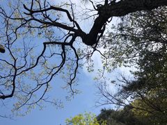 -罗田天堂寨风景区