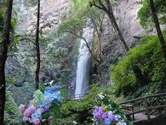 -莫里热带雨林景区