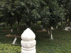 -广州市白云山风景名胜区