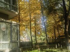 -白塘生态植物园