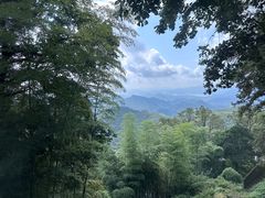 -莫干山风景区