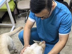 -美联众合动物医院·24h转诊中心