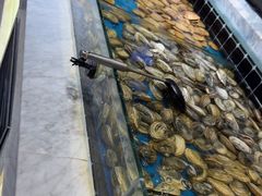 -川骄海鲜自助(河东店)