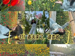 -长春公园(普阳街道)