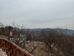 -北京西山国家森林公园