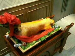 -哈啾嗨·蒙文化主题餐厅(京汉新城店)