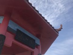-金龙寺国家森林公园