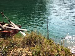 -广州市流溪河国家森林公园