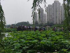 -前关湿地公园
