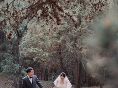 -罗曼罗兰(璧山店)