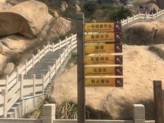 -洋山深水港