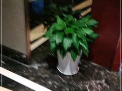 -和记小菜(大宁店)