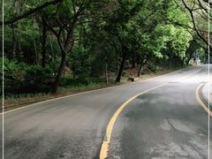 -南国桃园旅游度假区