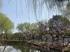 -上海大学宝山-图书馆