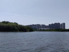 -飞来湖湿地公园