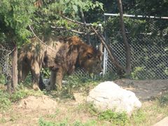 -西安秦岭野生动物园