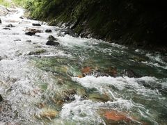 -西岭雪山大飞水景区