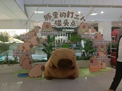 -凯德MALL(西直门店)