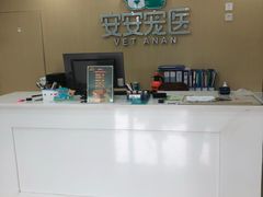 -安安宠物医院(情缘分院)