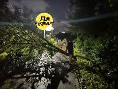 -盒马鲜生(丁香国际店)