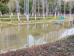 -皇粮浜湿地公园