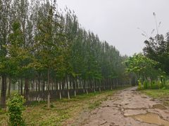 -上林马术中央公园·户外露营·团建·骑乘