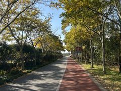 -上海长兴岛郊野公园