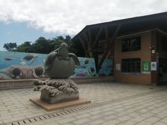 -广东惠东海龟国家级自然保护区