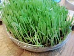 -好彩猪肚鸡(正弘城店)