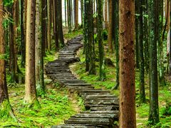-碧峰峡风景区