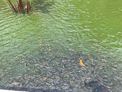 -柬埔寨国家博物馆