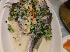 深海大黄鱼-乾隆美食·本帮菜(黄河路店)