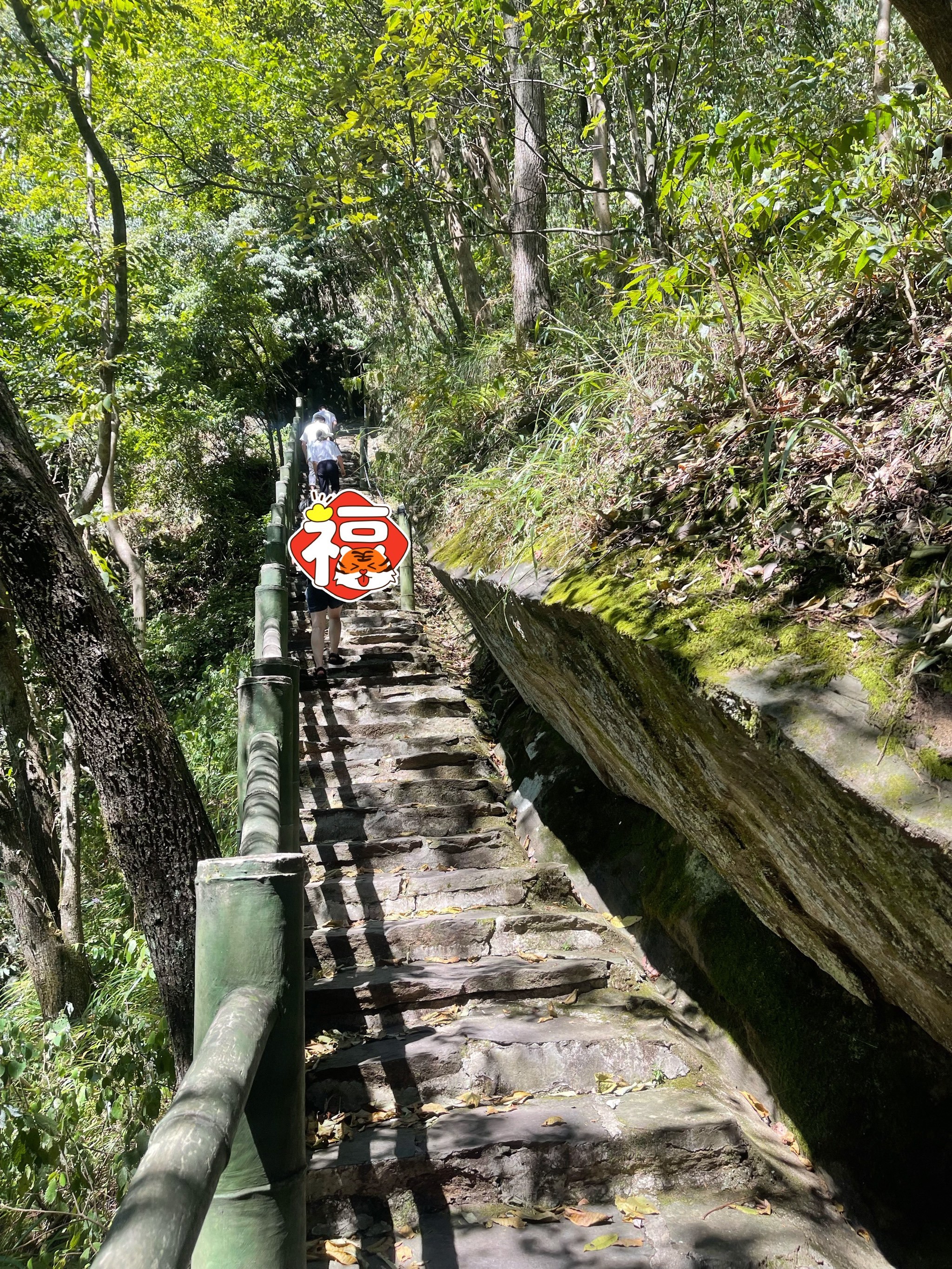 「周洛大峡谷」真正的是踩在夏天的尾巴去